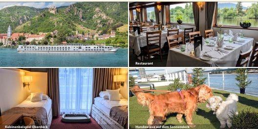 Mit an Bord viele weitere Hundefreunde